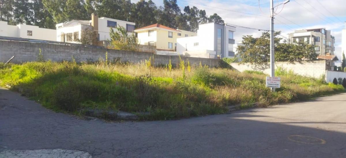Venta - Terreno - Norte - Quito - Santa Lucia — imagen 5