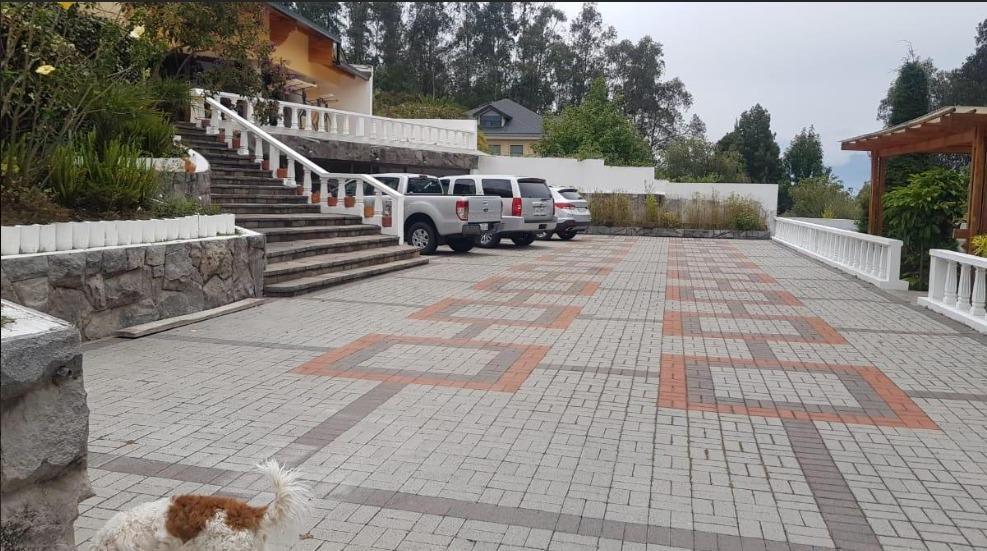 Campo Alegre, Rento Hermosa Casa, 2500 m² Terr, 1500 m² Const. 5 Dormito. Pisc. Provincia de Pichincha — imagen 4
