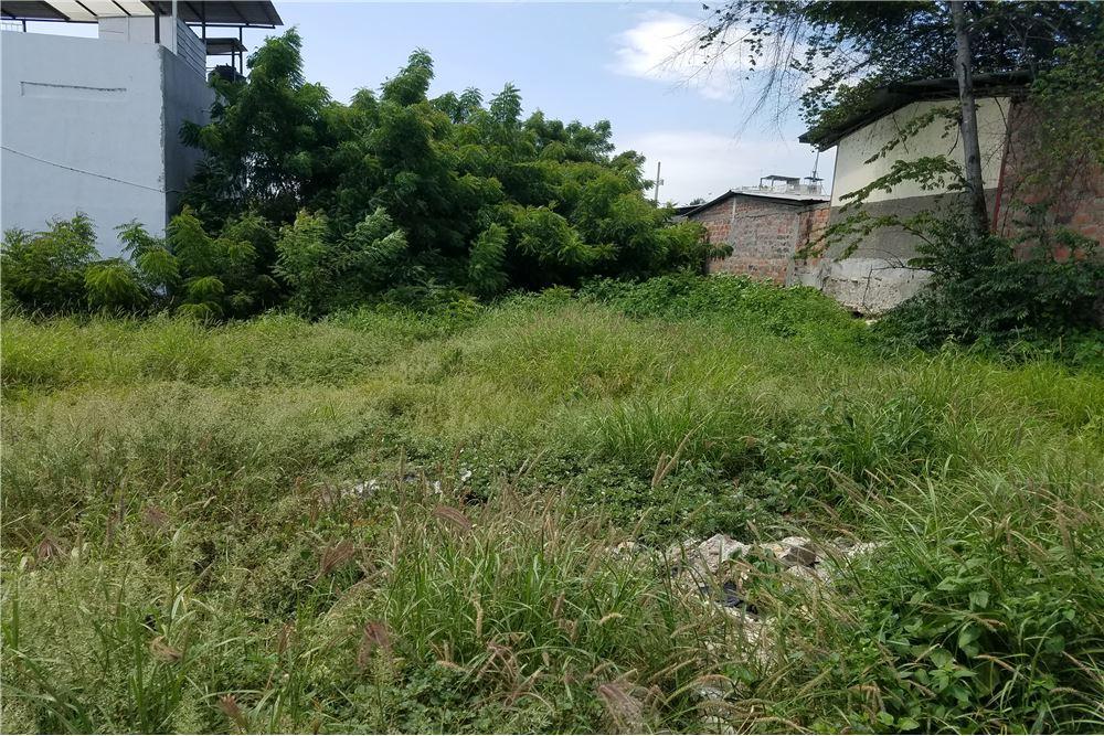 Terreno de Venta en Sector Céntrico de Manta, Manabí — imagen 6