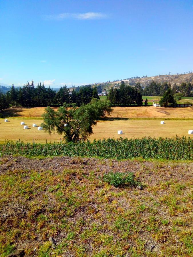 Hacienda en Venta con Mina en Producción en Salcedo, Cotopaxi — imagen 7