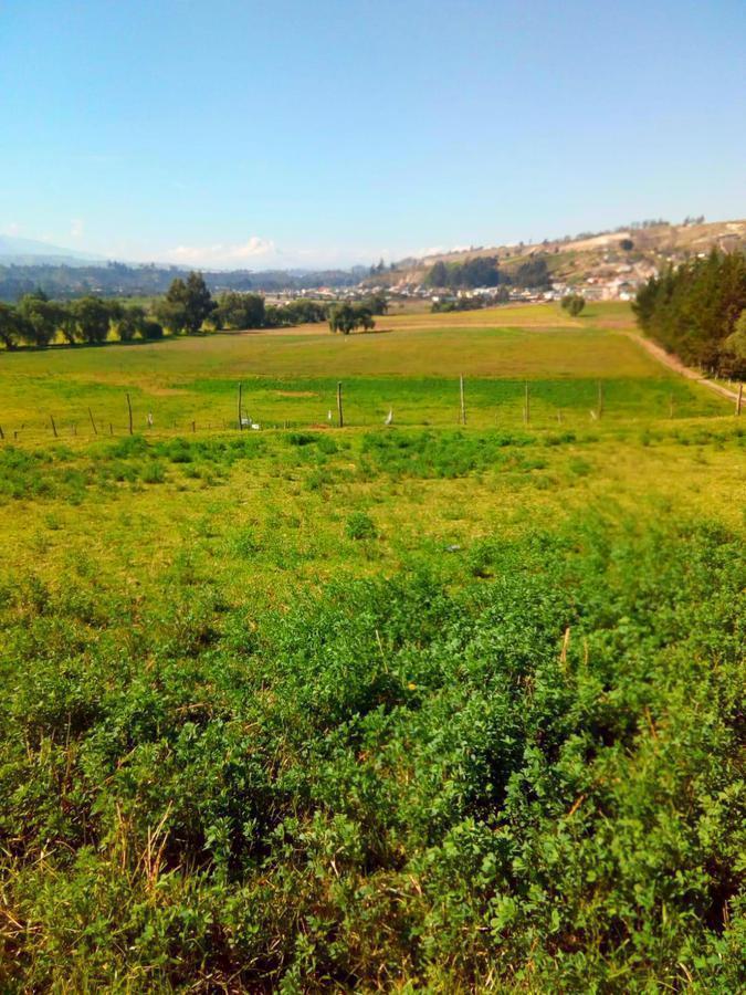 Hacienda en Venta con Mina en Producción en Salcedo, Cotopaxi — imagen 6