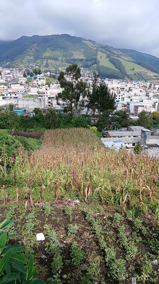Se Vende Terreno — imagen 2