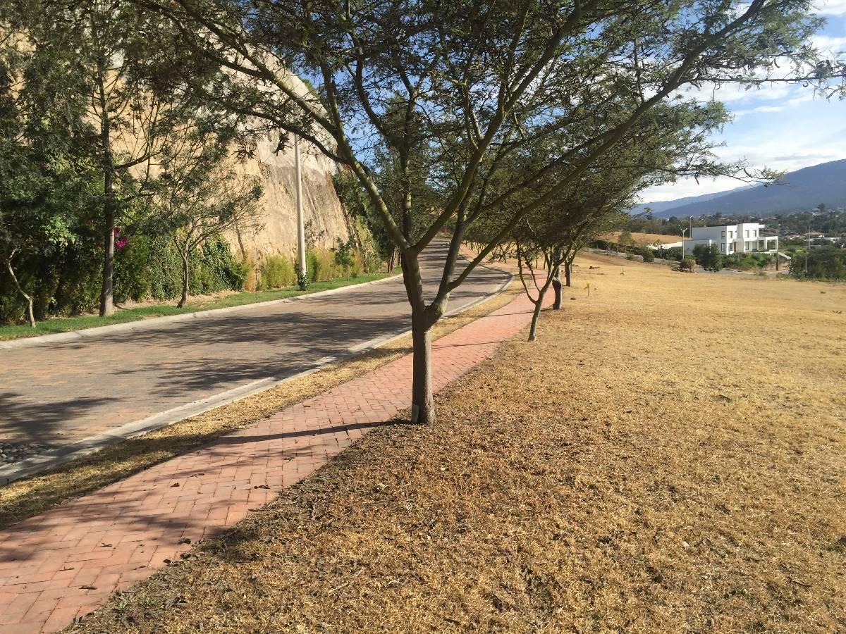 Cumbaya Terreno Unifamiliar de Venta en Urb. Exclusiva. Vista Espectacular. Provincia de Pichincha — imagen 6