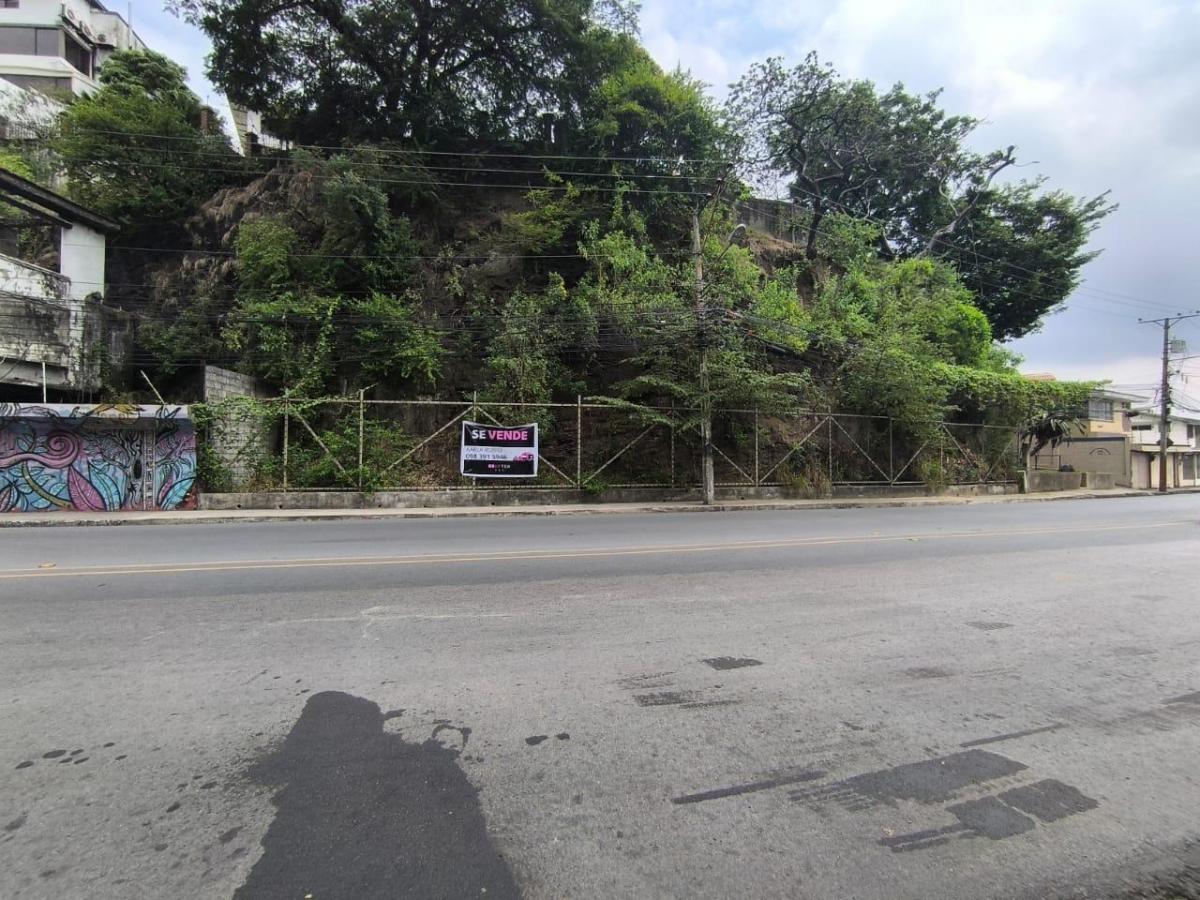 Venta de Terreno, Lomas de Urdesa, Guayaquil, Karr, Guayas — imagen 10