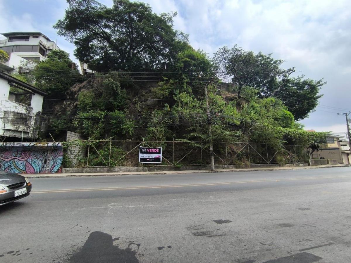 Venta de Terreno, Lomas de Urdesa, Guayaquil, Karr, Guayas — imagen 9