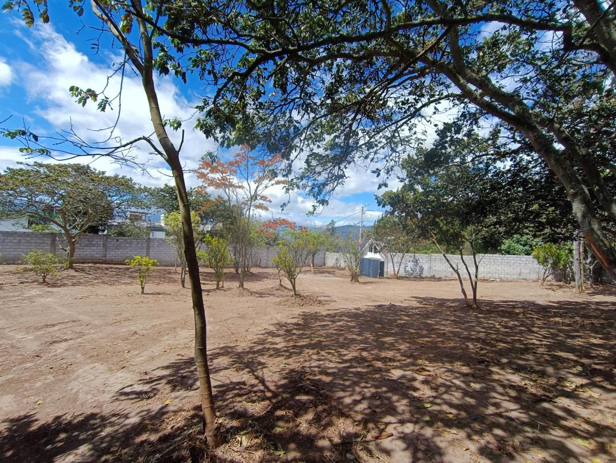Vendo Terreno en Nayon, 1643 m — imagen 10