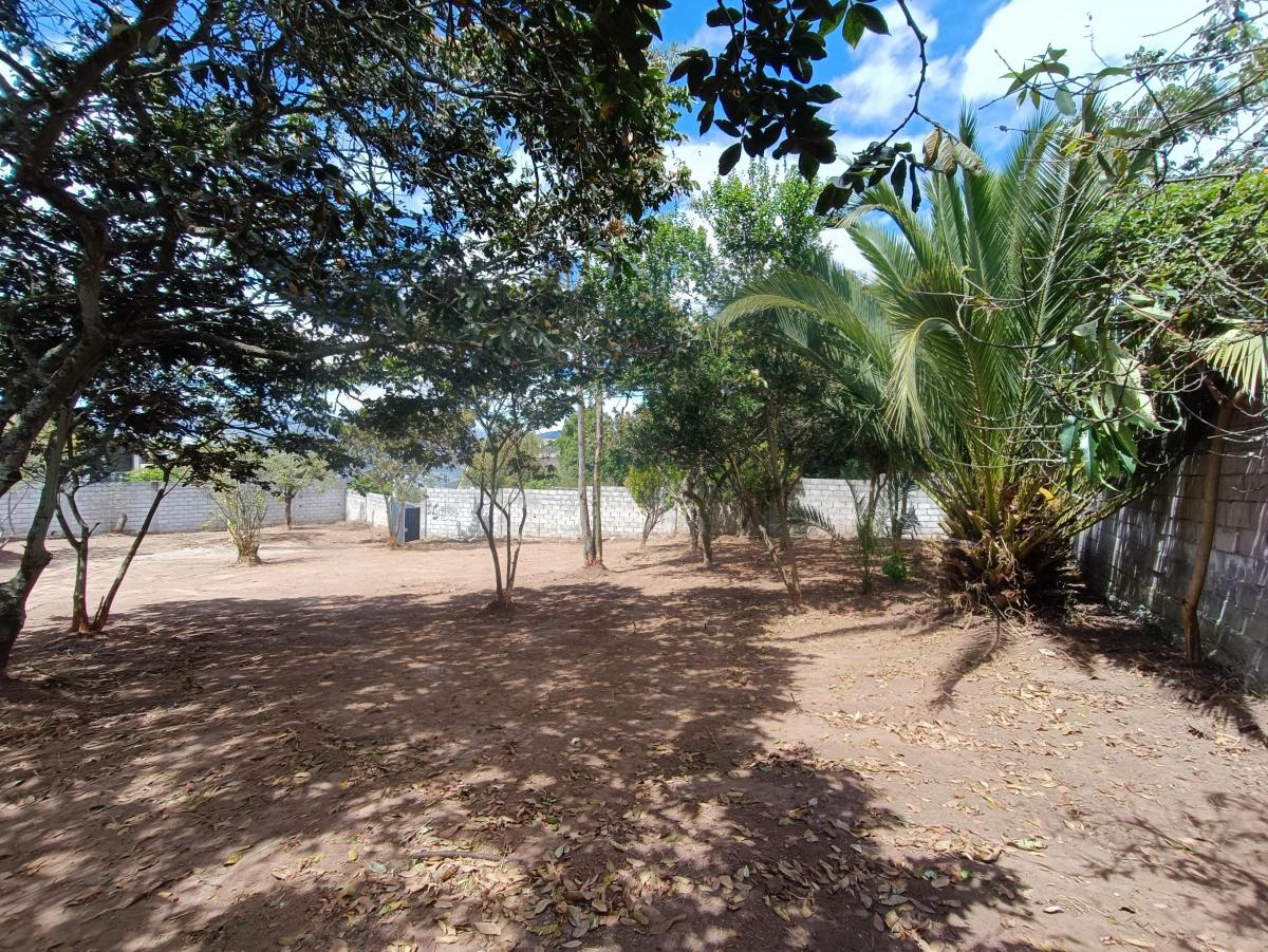 Vendo Terreno en Nayon, 1643 m — imagen 9