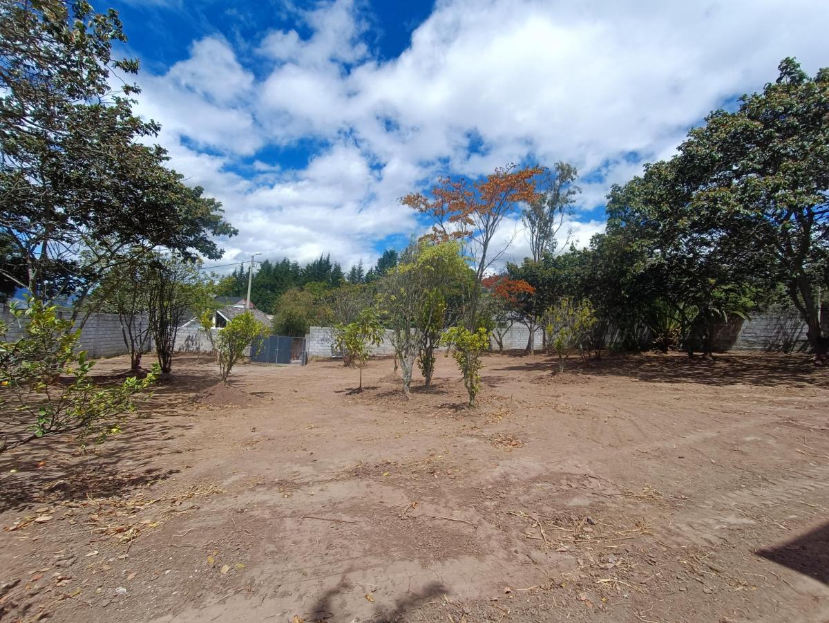 Terreno en Nayon en Venta, 1643 m — imagen 5