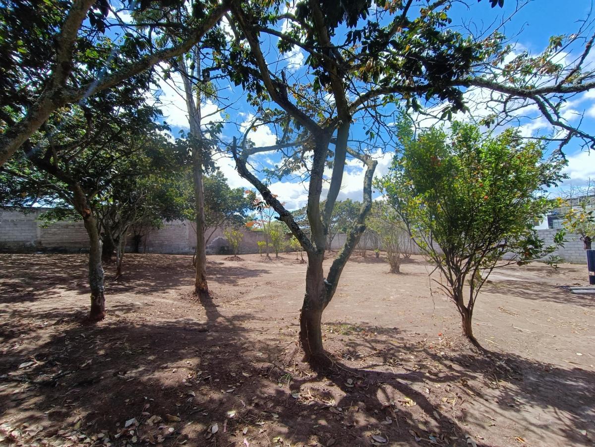 Terreno en Nayon en Venta, 1643 m — imagen 3