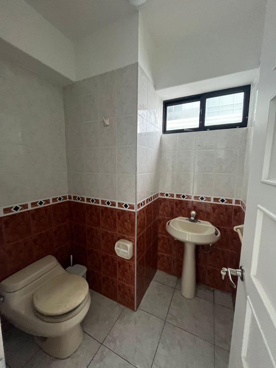 Departamento Remodelado en Venta – 217 m² — imagen 2