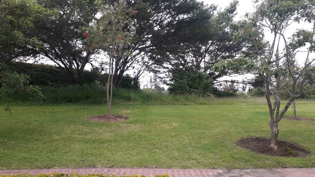 Vendo - Excelente Terreno en Arrayanes — imagen 5