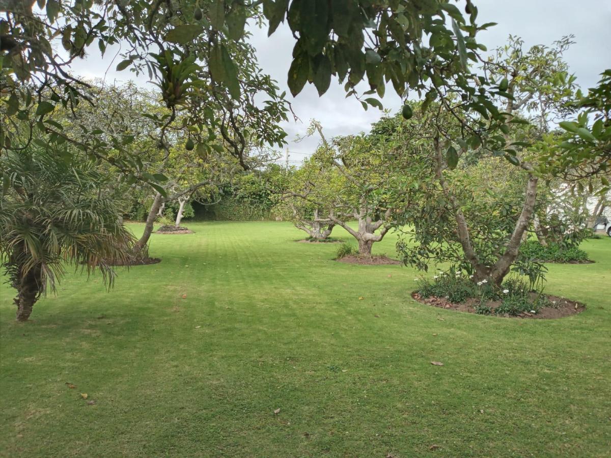 Terreno en Puembo — imagen 6