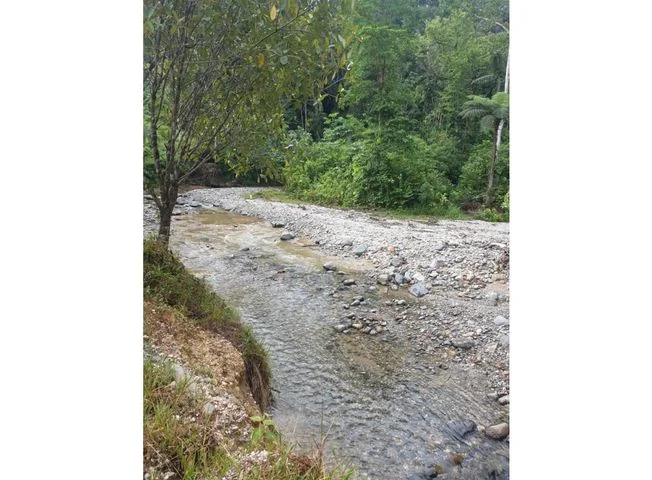 Terreno en venta en Tena — imagen 3