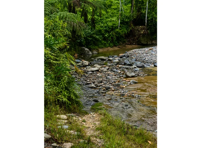 Terreno en venta en Tena — imagen 2