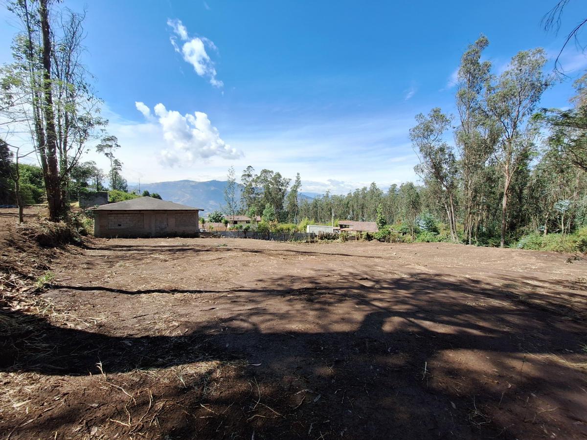 Lote de Terreno, Yanazarapata — imagen 8