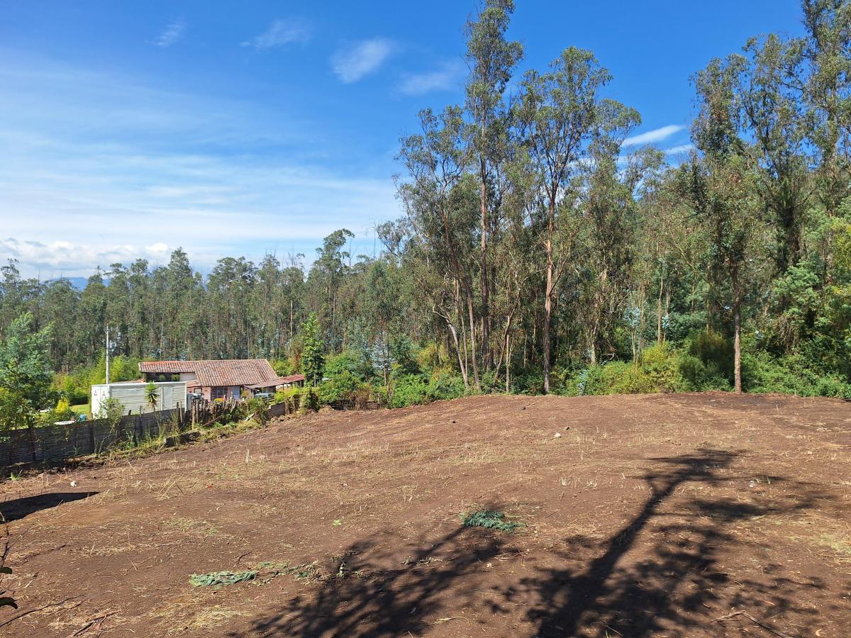 Lote de Terreno, Yanazarapata — imagen 7