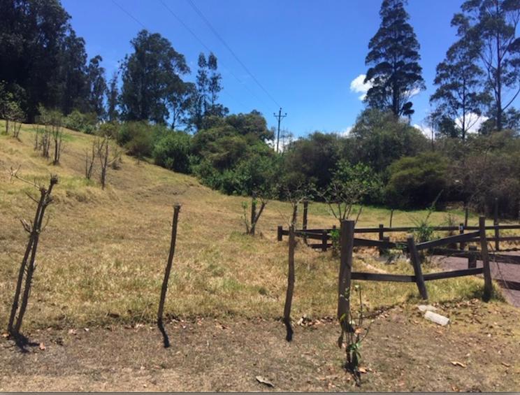 Los Chillos - Alangasi Terreno de Venta Ideal Para Residencias Campestres — imagen 10