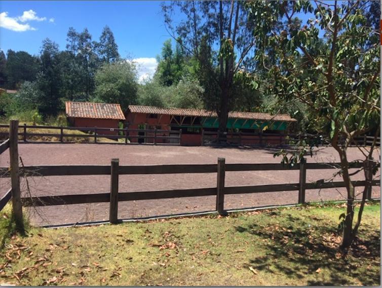 Los Chillos - Alangasi Terreno de Venta Ideal Para Residencias Campestres — imagen 8
