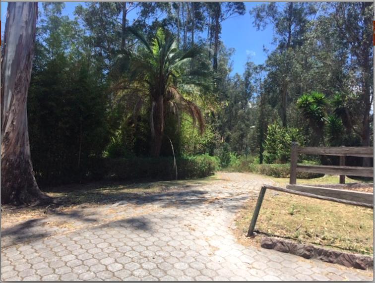 Los Chillos - Alangasi Terreno de Venta Ideal Para Residencias Campestres — imagen 2