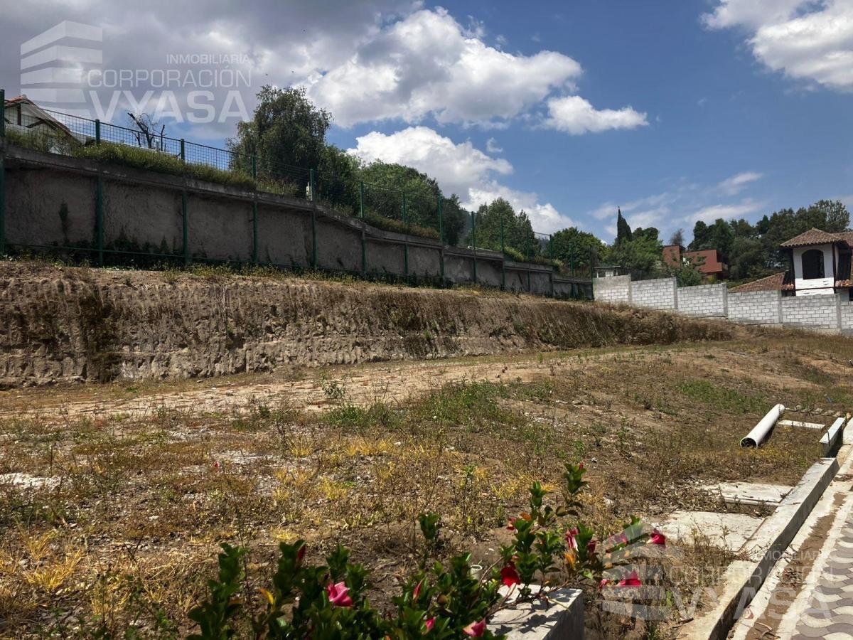 Cumbayá - San Juan, Hermosos Terrenos de Venta 446 m² — imagen 8