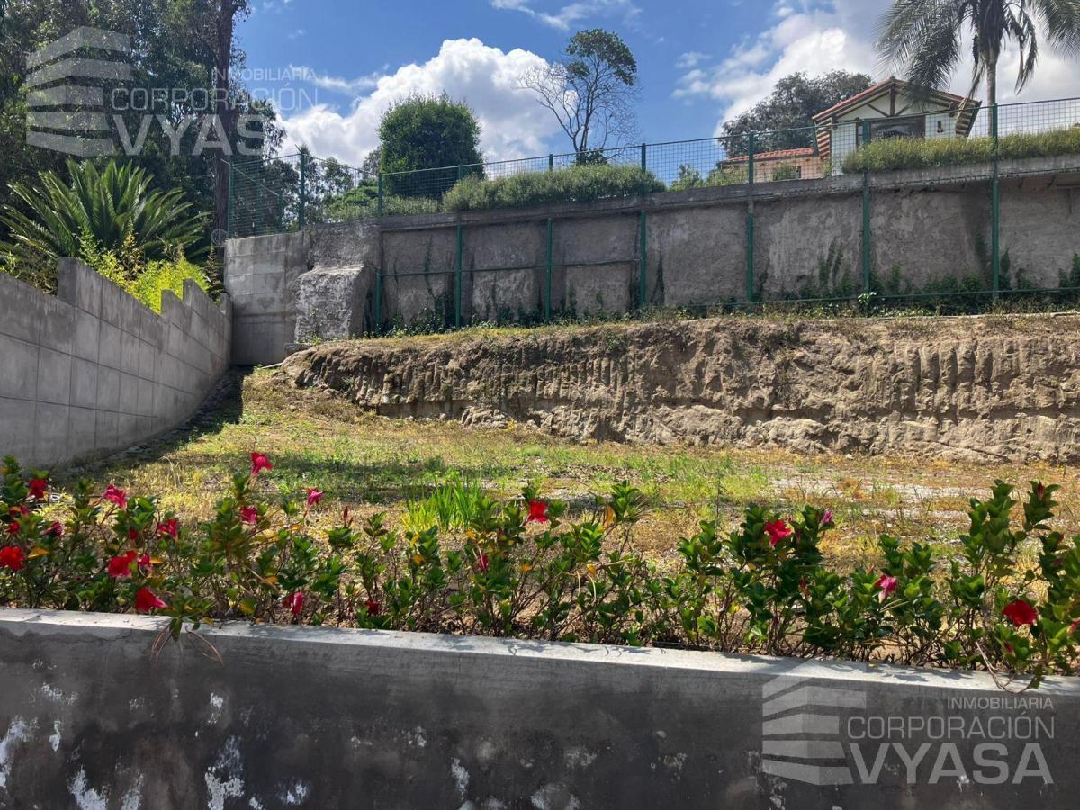 Cumbayá - San Juan, Hermosos Terrenos de Venta 446 m² — imagen 3