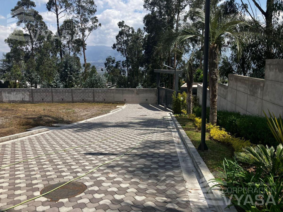 Cumbayá - San Juan, Hermosos Terrenos de Venta 446 m² — imagen 2