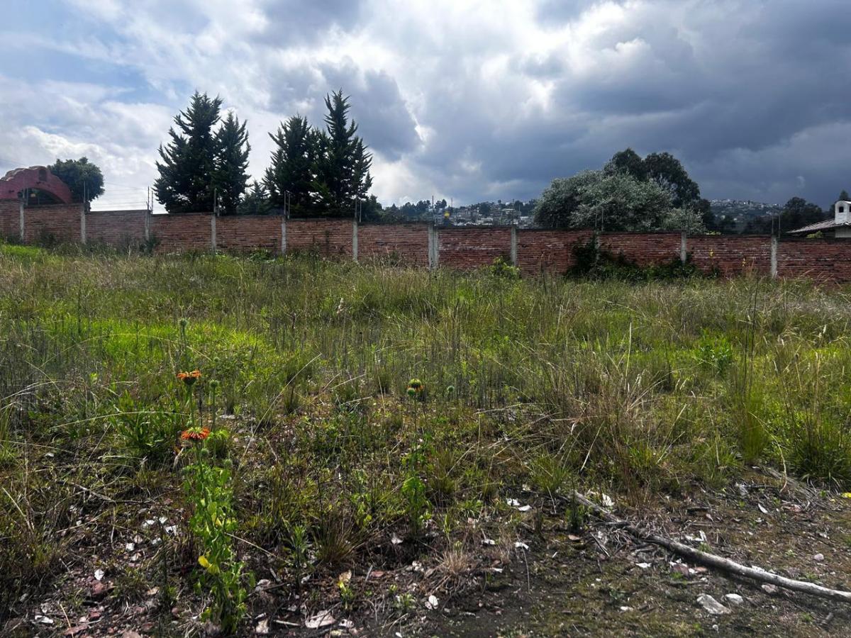 Terreno de Venta en Sector Llano Chico — imagen 8