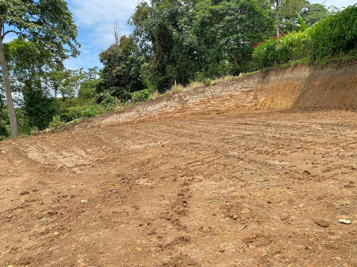 Oportunidad Terreno en Urbanización Silanche 1.500 m², Pedro Vicente m. Lote 181 — imagen 7