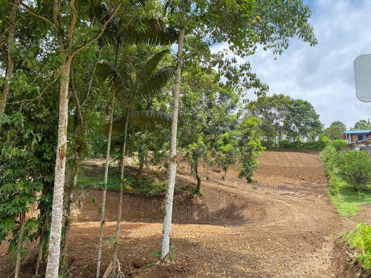 Oportunidad Terreno en Urbanización Silanche 1.500 m², Pedro Vicente m. Lote 181 — imagen 6
