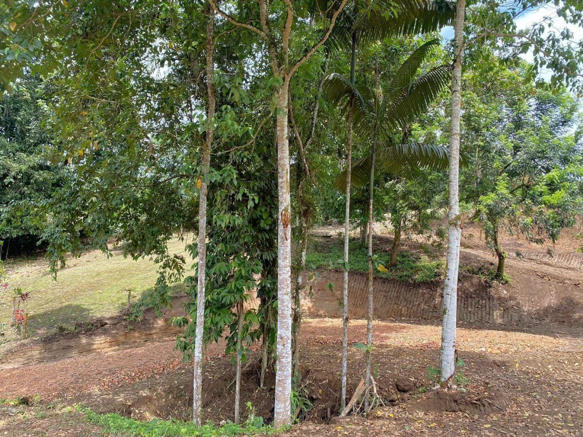 Oportunidad Terreno en Urbanización Silanche 1.500 m², Pedro Vicente m. Lote 181 — imagen 2