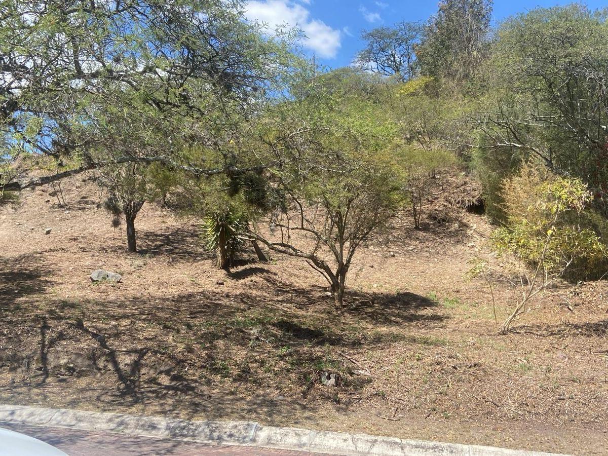Vendo Lindo Terreno - Urbanizacion La Viña - Seguridad 24/7 - *mm — imagen 9