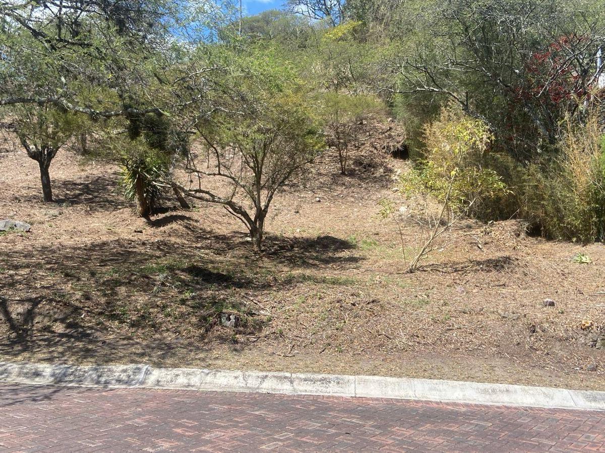 Vendo Lindo Terreno - Urbanizacion La Viña - Seguridad 24/7 - *mm — imagen 7