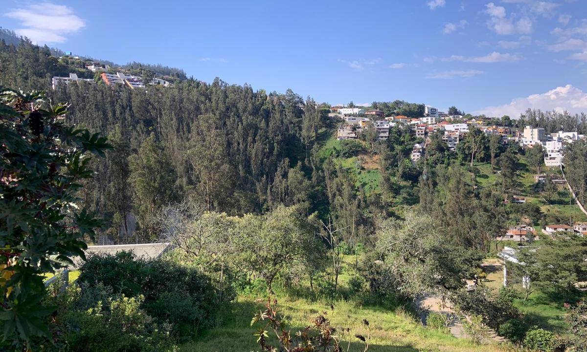 Venta de Terrenos Dentro de Urb Privada, Cumbayá Calle Los Conquistadores. $170 m² — imagen 8