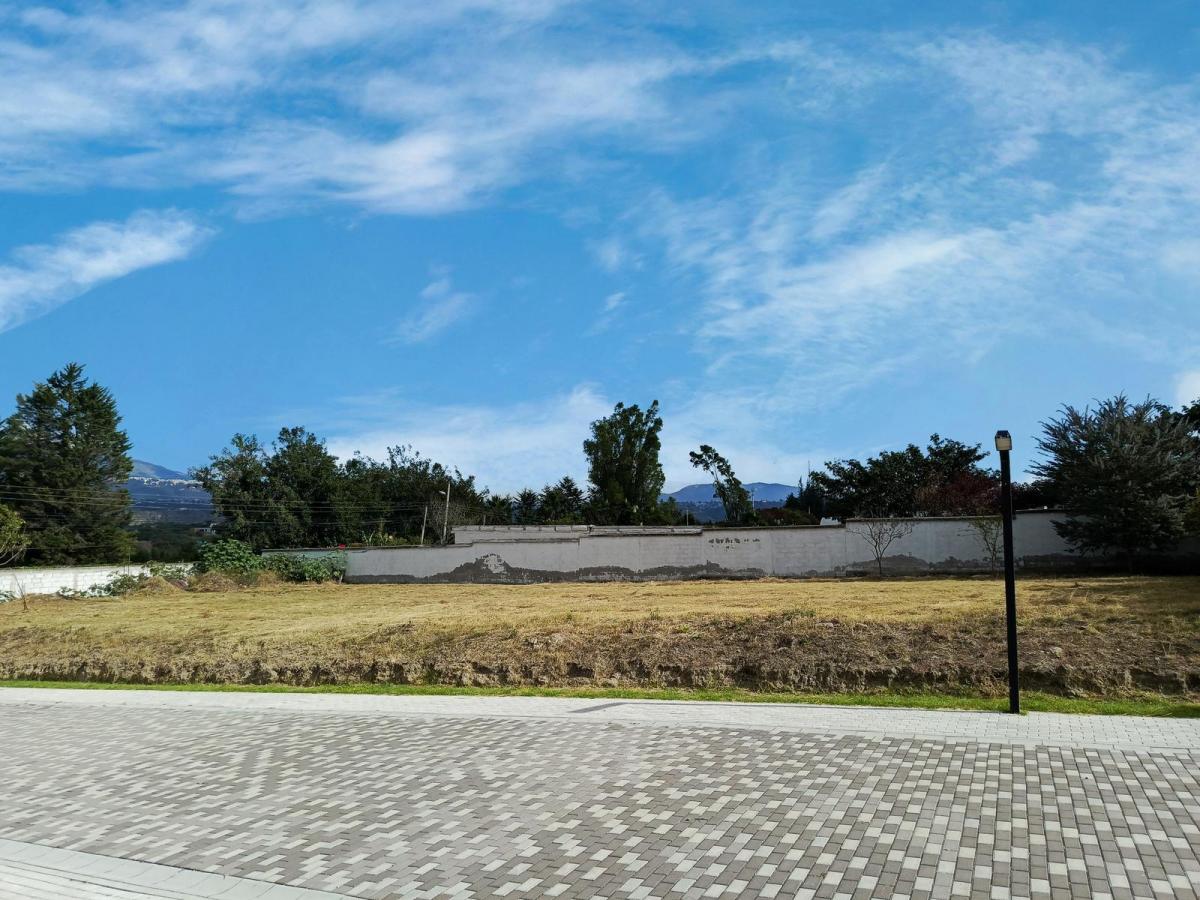 Terreno en Venta López Baquero Puembo, Sector Los Arrayanes — imagen 9