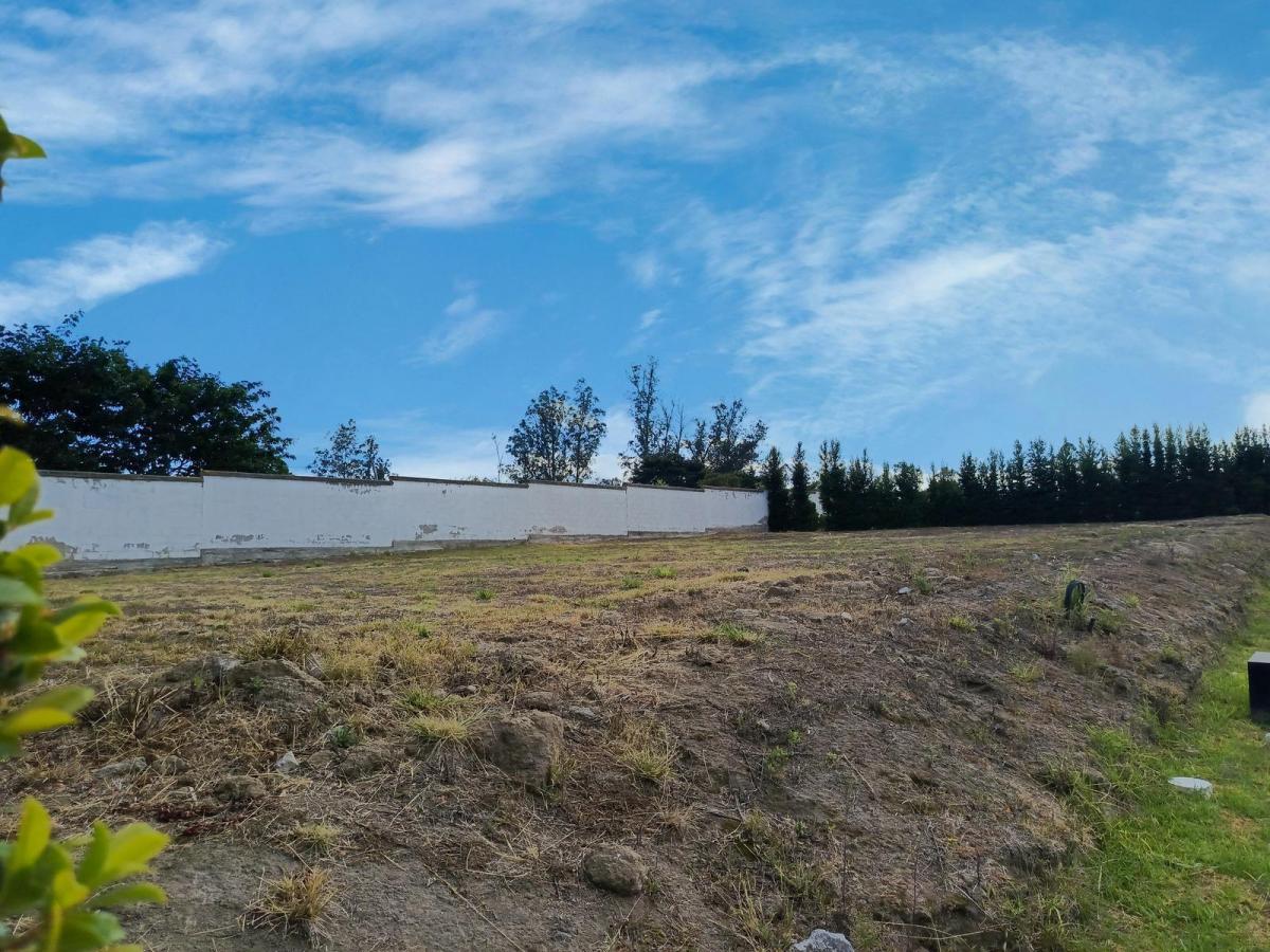 Terreno en Venta López Baquero Puembo, Sector Los Arrayanes — imagen 8