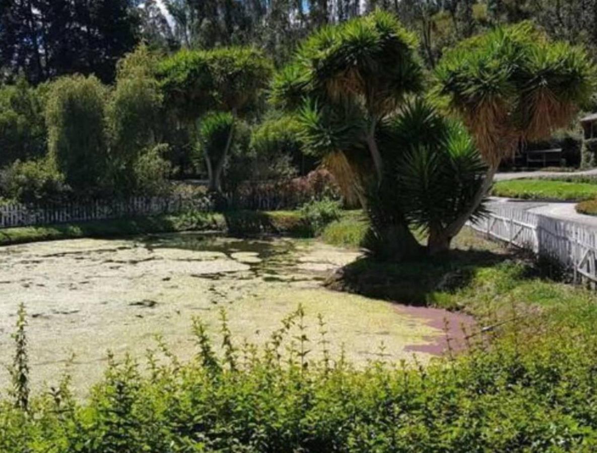 Pifo Quinta de Venta a 15 Minutos del Aeoropuerto — imagen 6