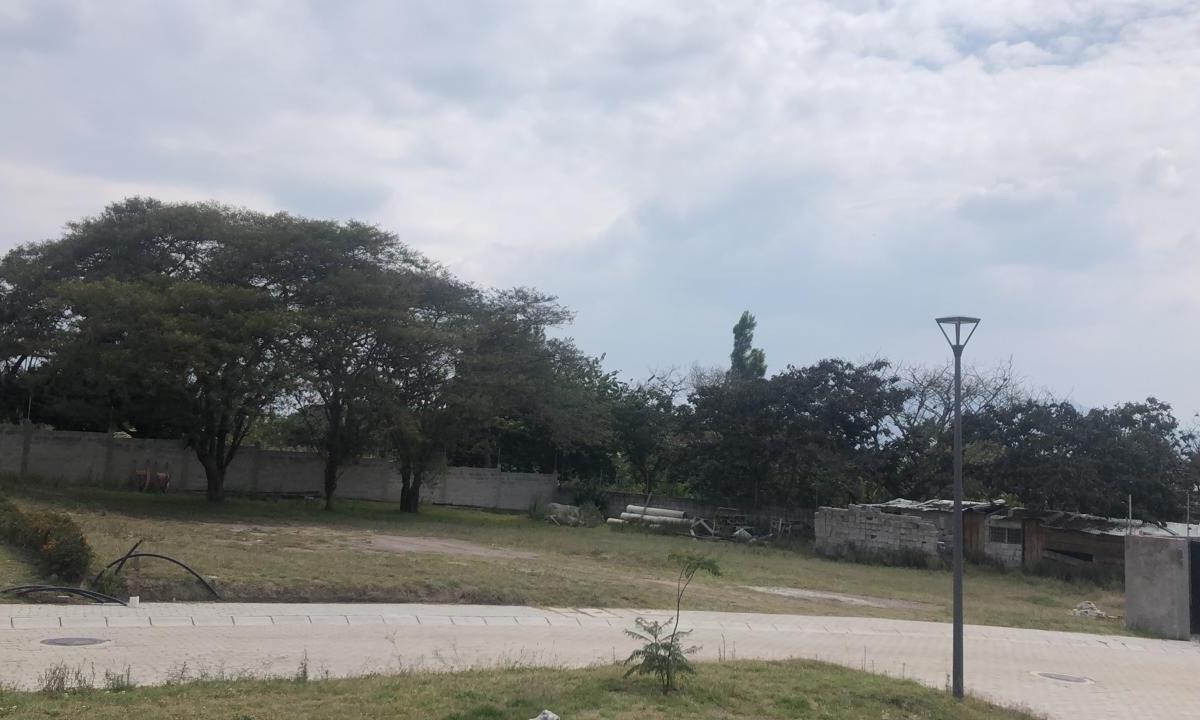 Tumbaco Terrenos de Venta en Urbanizacion Privada Sector Hilacril — imagen 9