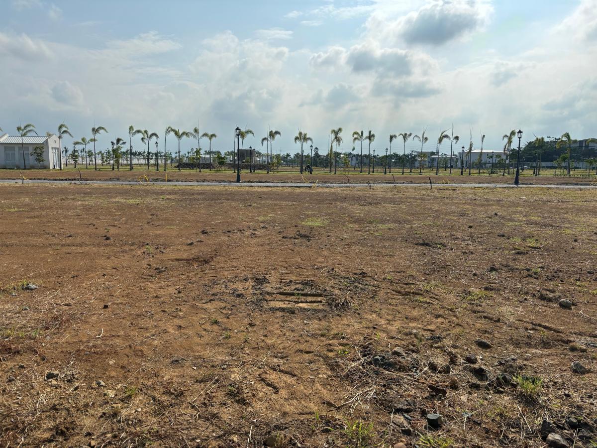 Aires Norte Terreno en Venta 262.50 m, Guayas — imagen 7