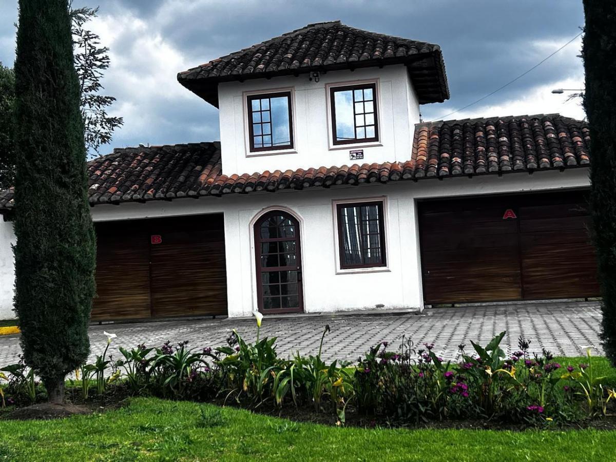 Venta Terreno — imagen 8