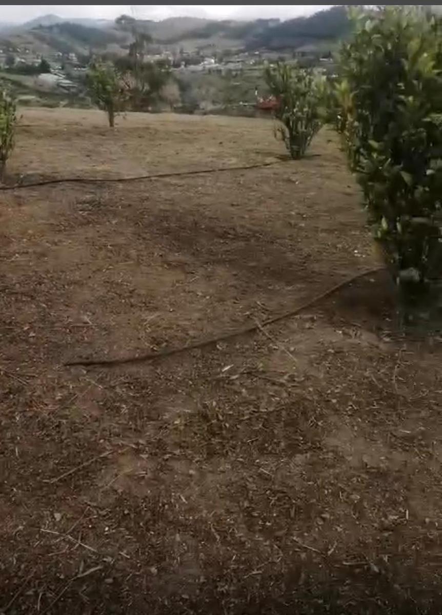Venta Terreno — imagen 7