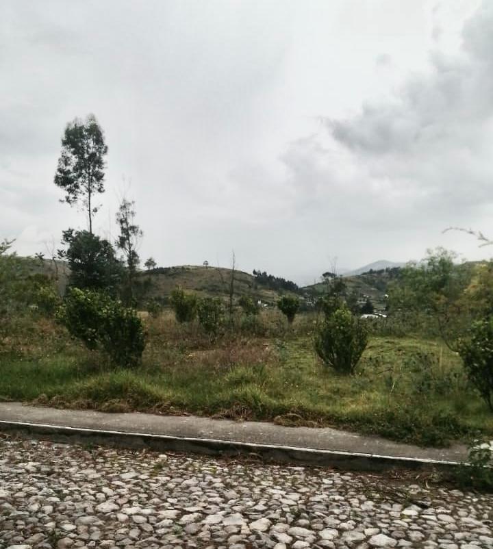 Venta Terreno — imagen 6