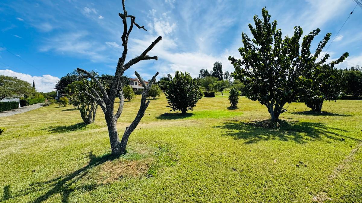 Terreno Venta Tumbaco - Collaqui — imagen 4