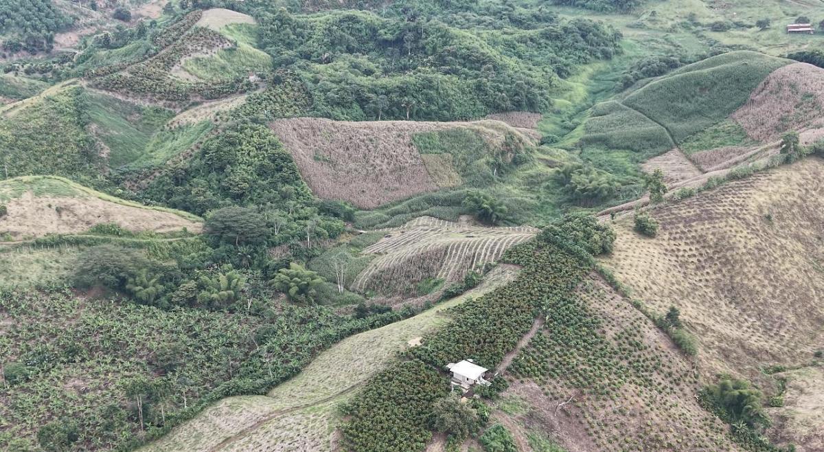 Terreno en Manabí, El Carmen Parroquia Santa Maria. La Bramadora Hacienda Bombom. Manabí — imagen 7