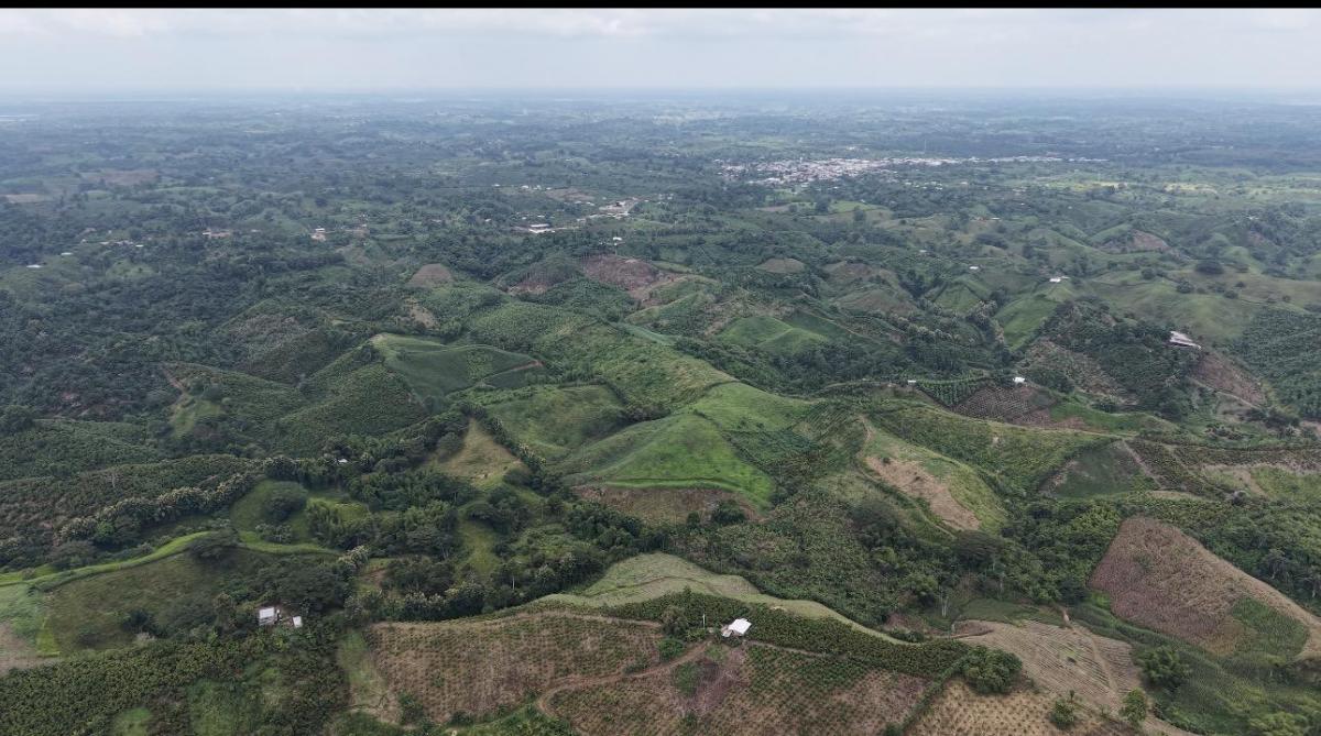 Terreno en Manabí, El Carmen Parroquia Santa Maria. La Bramadora Hacienda Bombom. Manabí — imagen 6