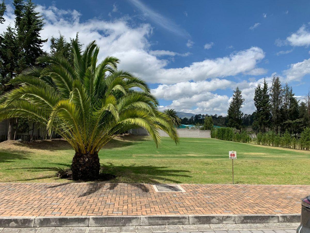 Terreno en Venta en Puembo Dentro de Urbanización — imagen 7