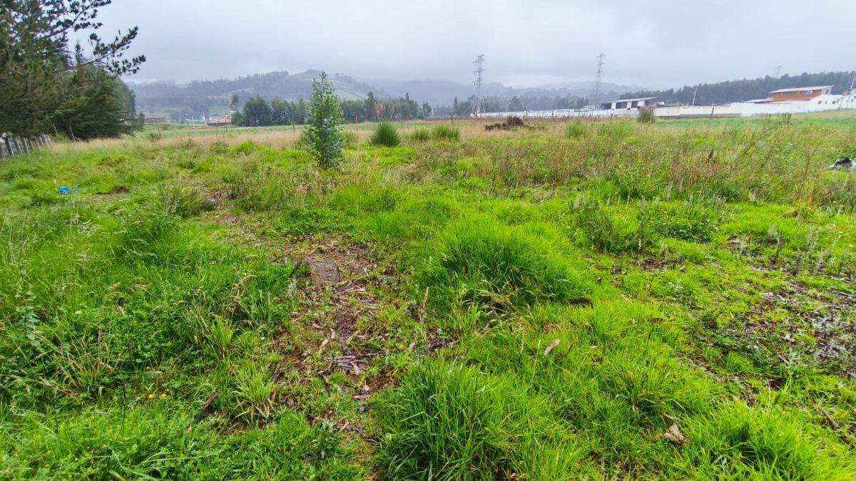 Terreno Comercial en Vía Al Parque Nacional Cotopaxi, Cotopaxi — imagen 2