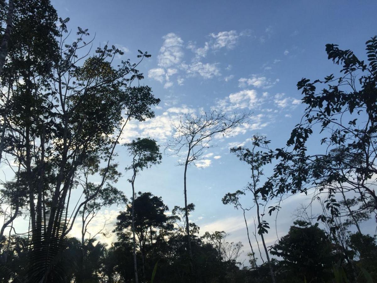 En Venta 32 Has en Shalcana, Napo, Napo — imagen 10