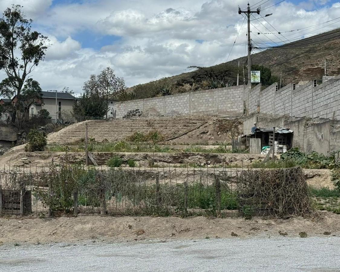 Terreno en Venta en La Pampa — imagen 5