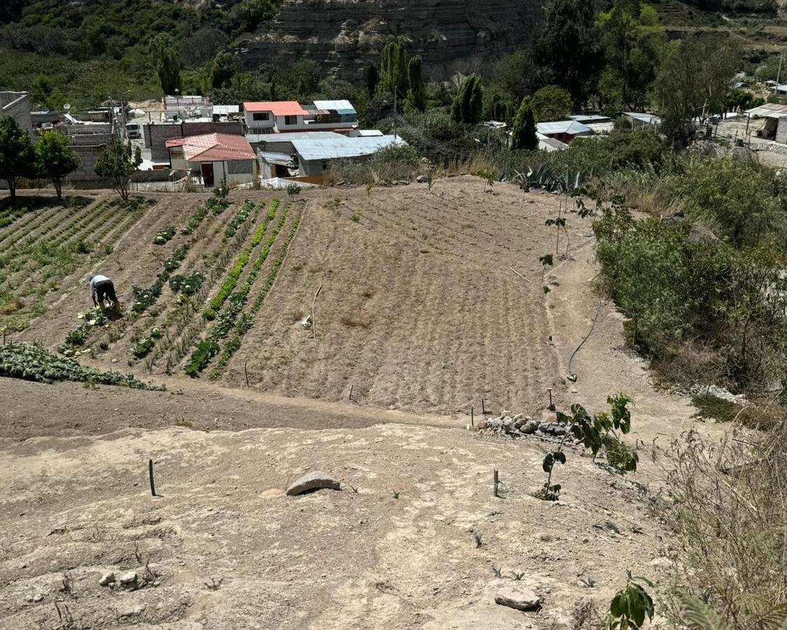 Terreno en Venta en La Pampa — imagen 2