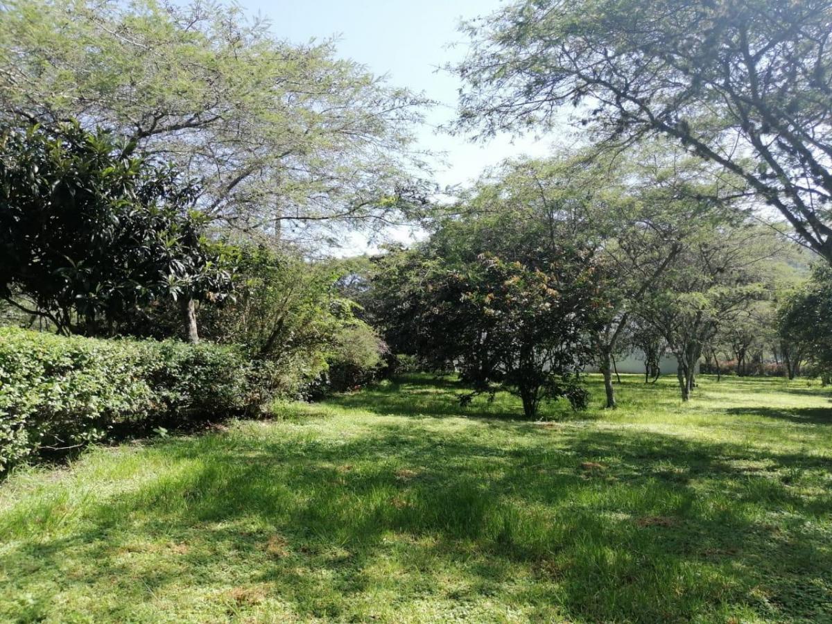 Venta en Cumbayá en Pillahua Terreno Plano y Dentro de Urbanización de Primera — imagen 7